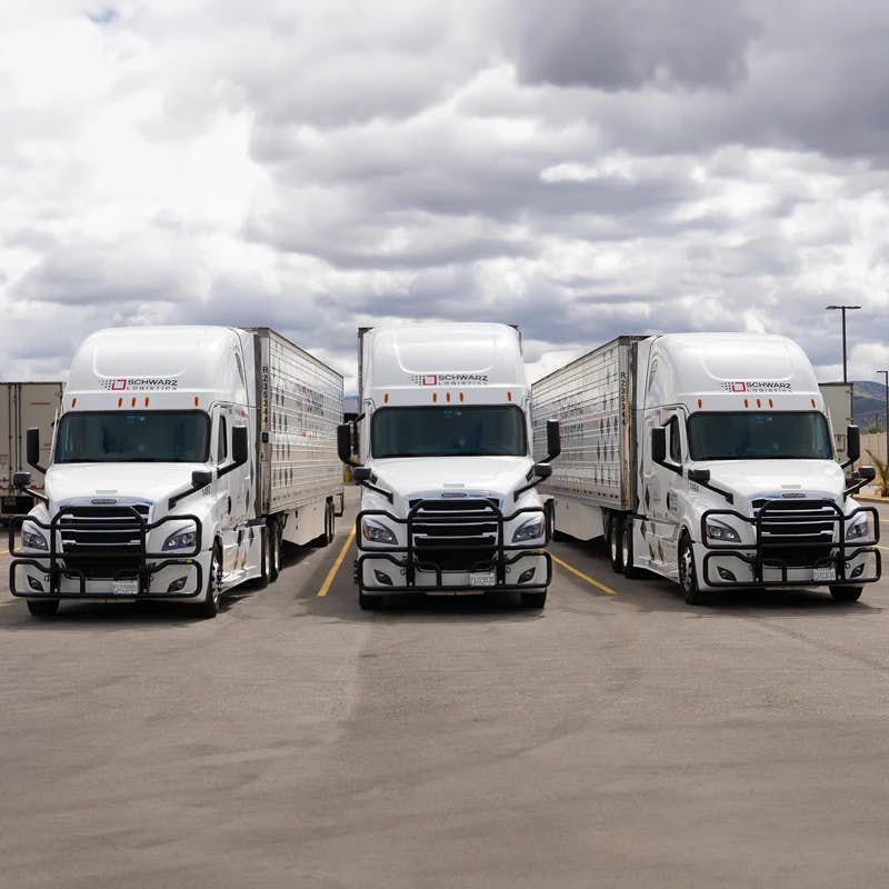 In this image, you see three semi-trucks facing forward, with two trucks angled slightly towards the center one. They are white with the logo and branding of "SCHWARZ LOGISTICS" on the cab just above the windshield. The trucks are in a warehouse setting with a cloudy sky overhead, suggesting an overcast weather condition. The design of the trucks suggests a modern fleet, likely used for logistics and transport services..