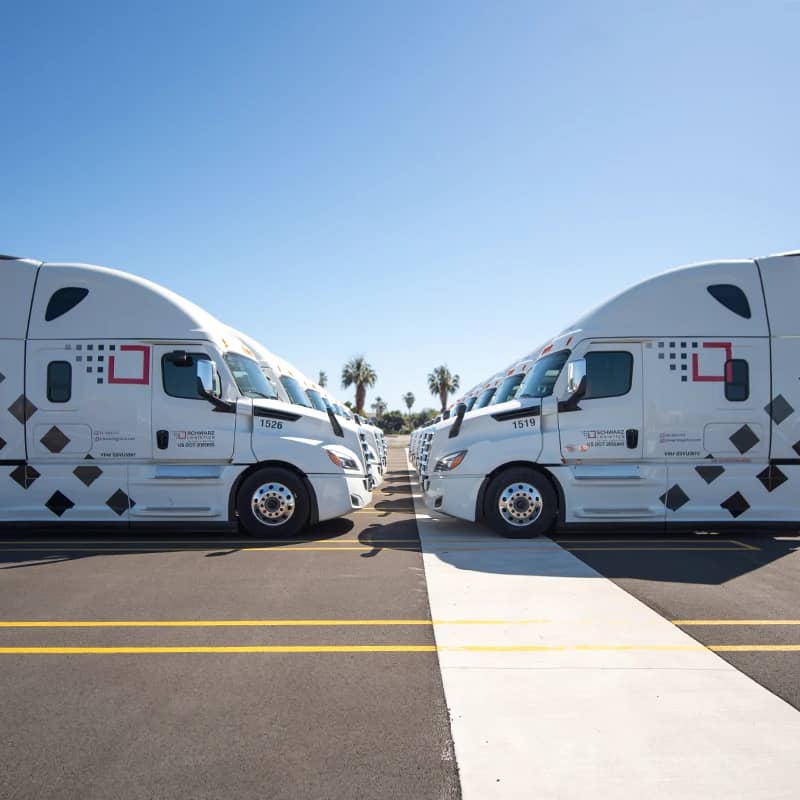 Two "Schwarz Logistics" semi-trailer trucks parked side by side, facing opposite directions.