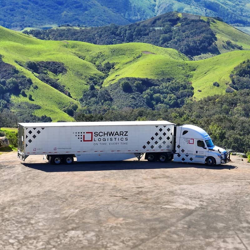 A "Schwarz Logistics" semi-trailer truck parked on a paved area with a backdrop of green, rolling hills under a blue sky.