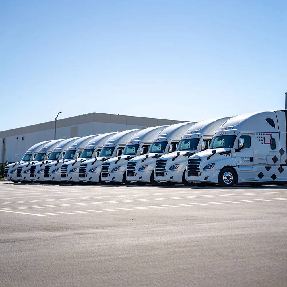 Freightliner Trucks with Schwarz Logistics branding on them.