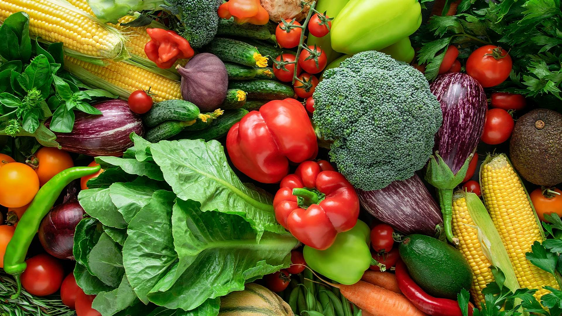 A colorful array of fresh vegetables.